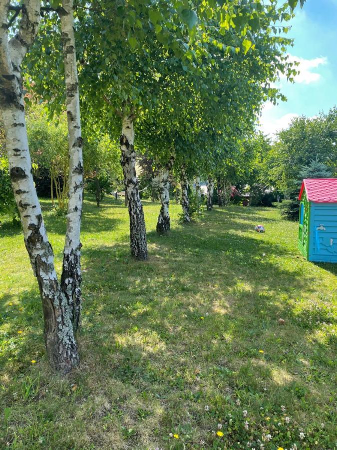 U Kowola - Gospodarstwo Agroturystyczne Weglowka  Exteriör bild